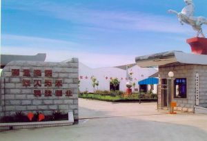 常州市第八紡織機械有限公司