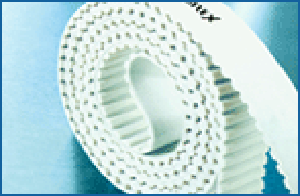 佛山市王永利工業皮帶有限公司