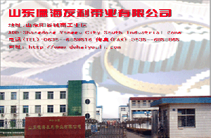 山東德海友利帶業有限公司