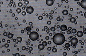 霧的池內(上海)貿易有限公司