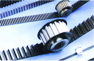 廈門仁和興業工業器材有限公司